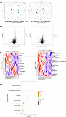 Anti-Inflammatory and Anti-asthmatic Effects of TMDCT Decoction in Eosinophilic Asthma Through Treg/Th17 Balance